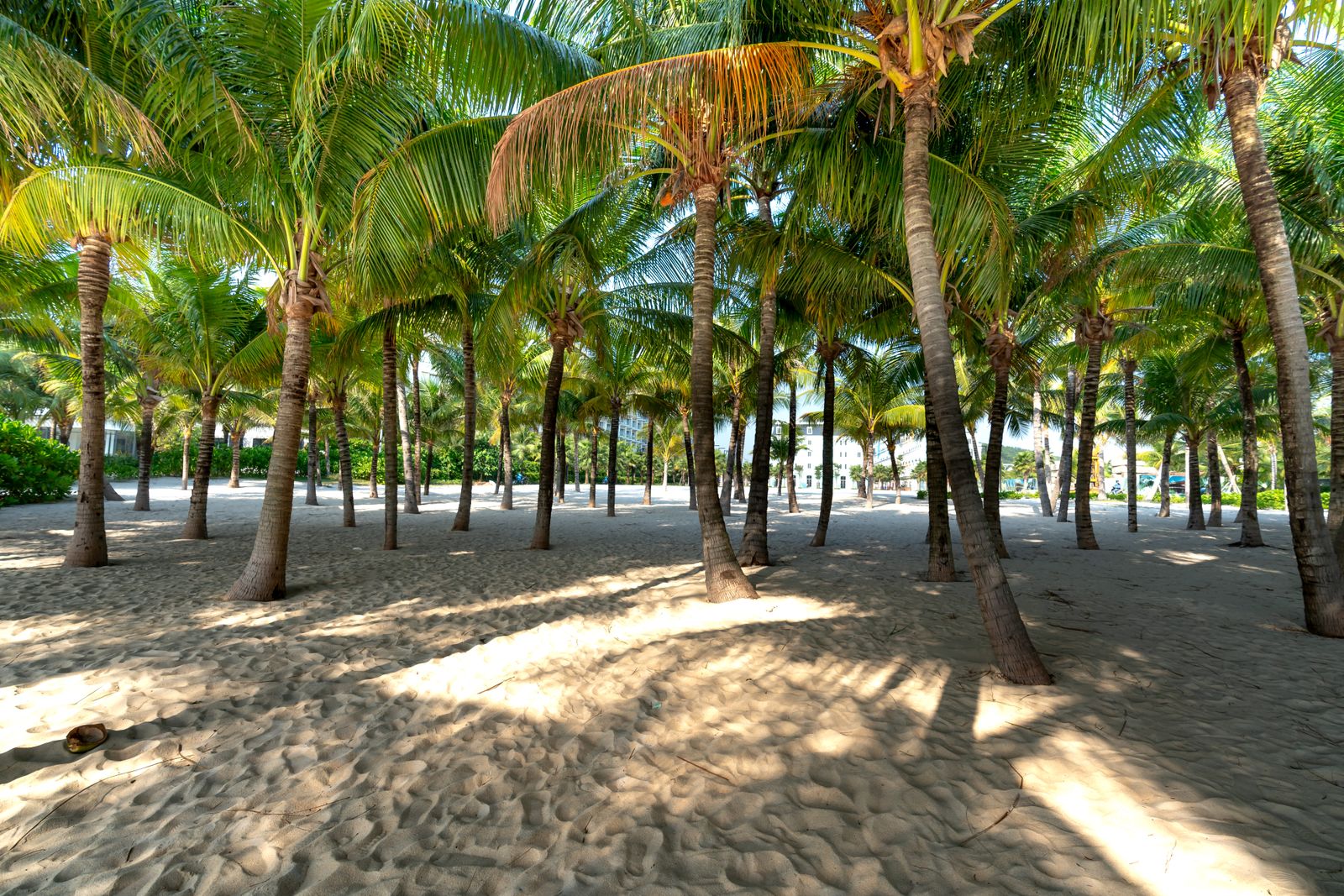 Fort Lauderdale area in Miami
