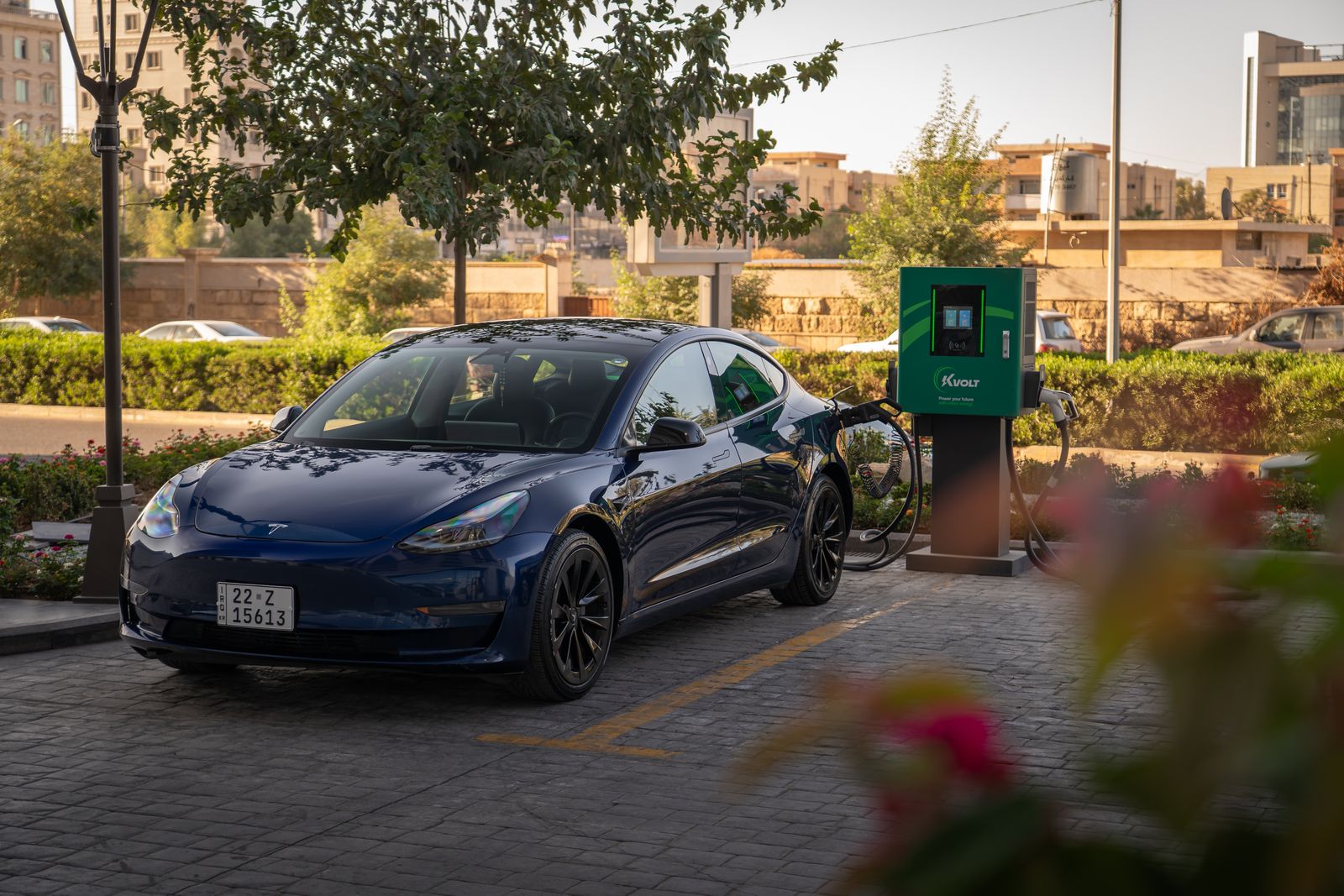 Tesla Model 3 detail view